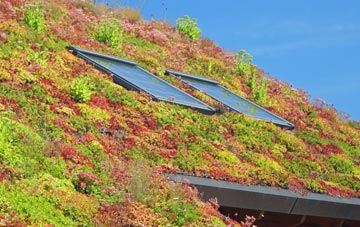 Trevena living roof systems